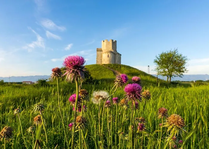 Villa Gode -secluded House With Heated Pool Near The *